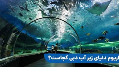 آکواریوم دبی