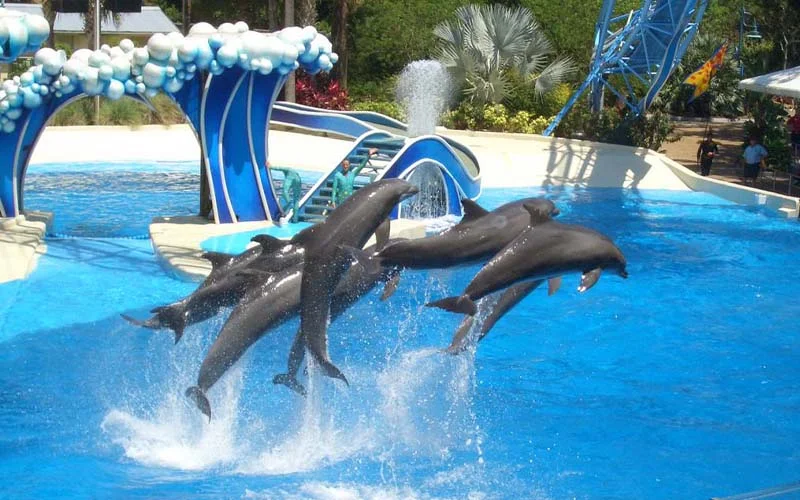 پارک آبی دلفین لند آنتالیا (Dolphin Aqua Land)